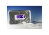 Baking Tray - 3 Pack
