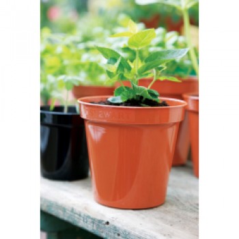 Flower Pot Terracotta - 8 Flower Pot Terracotta - 8