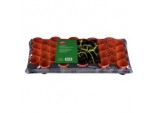 Growing Tray - 18 x 9cm Round Pots