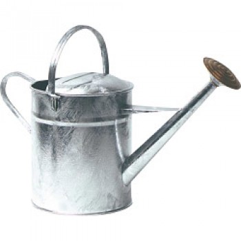 Galvanised Watering Can - 2 Gallon Galvanised Watering Can - 2 Gallon
