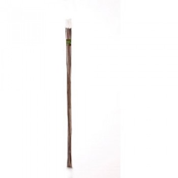Bamboo Canes - 8&rsquo; Pack of 10