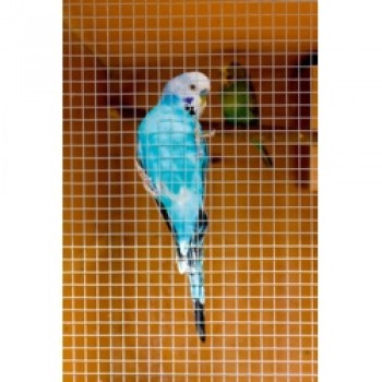 Cage & Aviary Welded Panel - 0.6x0.9m Mesh size: 13 x 25mm