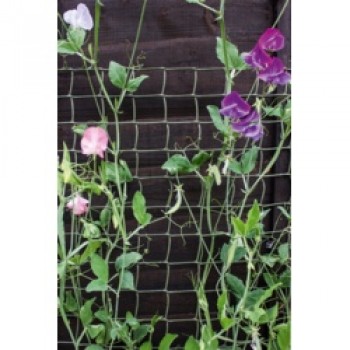 Climbing Plant Support Green - 5 x 0.5m Climbing Plant Support Green - 5 x 0.5m
